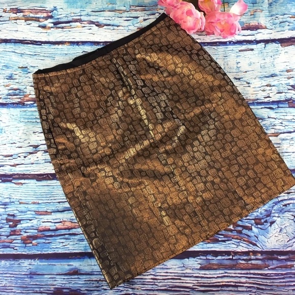 Ann Taylor Loft party skirt - Picture 2 of 7